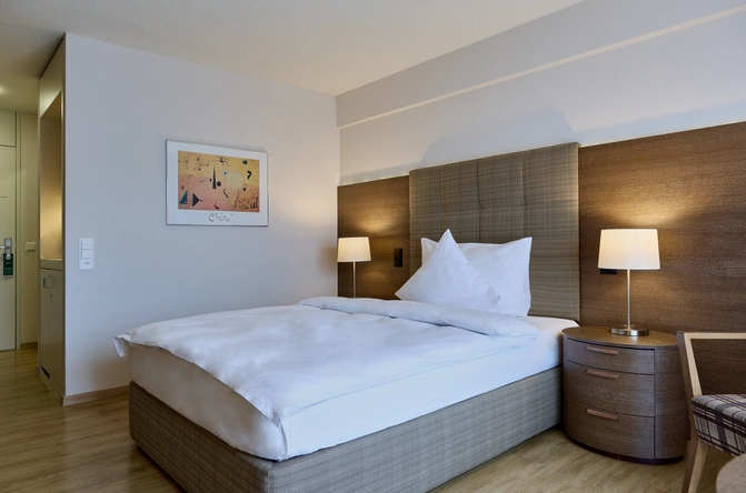 Product afbeelding: Heerlijk ontspannen in Zwitserland vanuit Dorint Parkhotel Bad Zurzach