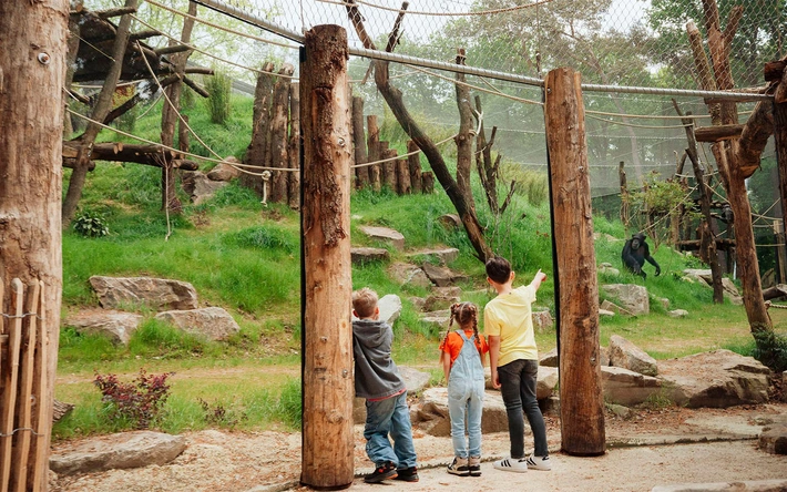Product afbeelding: DierenPark Amersfoort
