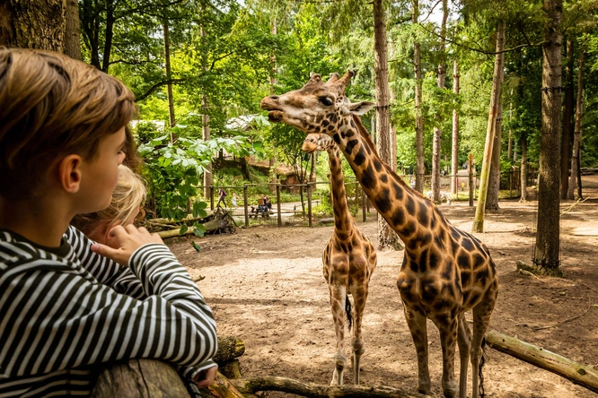 Product afbeelding: DierenPark Amersfoort