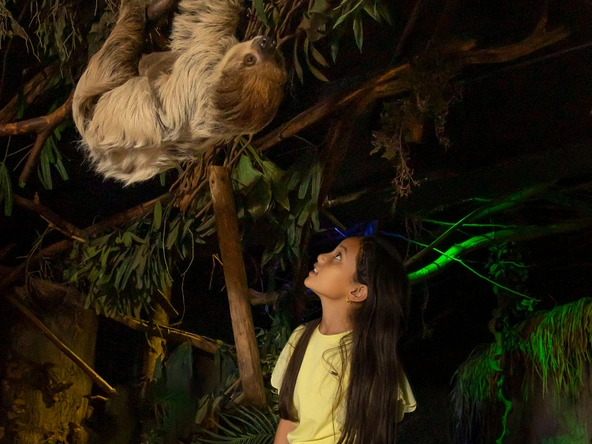 Product afbeelding: DierenPark Amersfoort