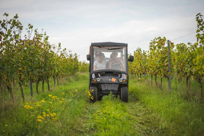 Product afbeelding: Wijntours | Ontdek de regio in een golfkar + overnachting + ontbijt + lunch + fles Bilzamico