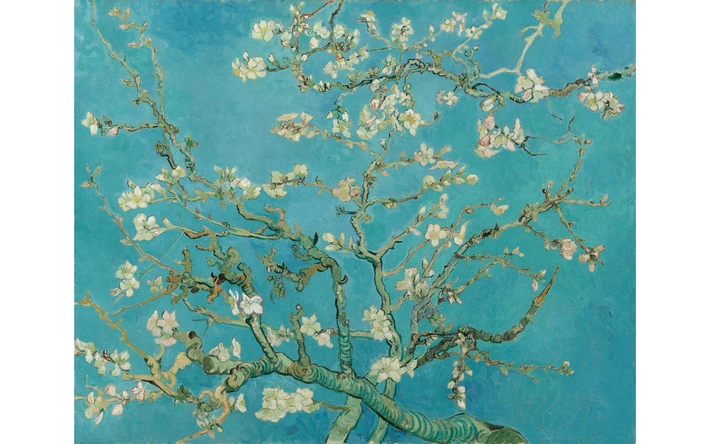 Product afbeelding: Cursus Kunstgeschiedenis Online - Vrije Academie