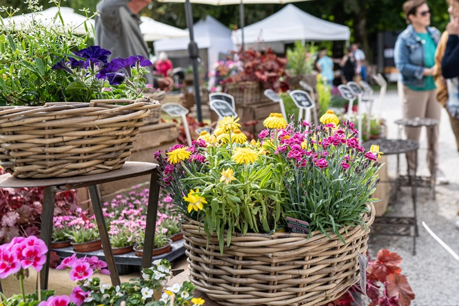 Product afbeelding: Tuindagen Heihuyzen Oostmalle - 23/05 tem 25/05 - Duoticket