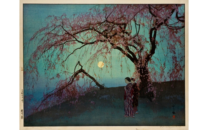 Product afbeelding: Inzicht Japanse Prentkunst Online - Vrije Academie