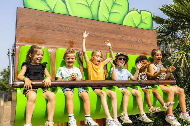 Product afbeelding: Jungle City