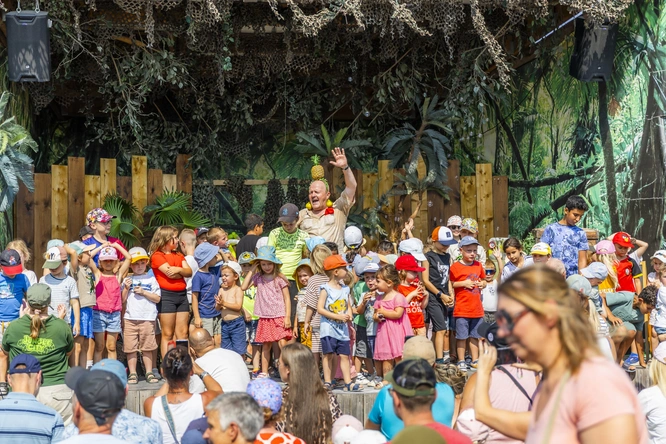 Product afbeelding: Jungle City