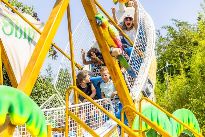 Product afbeelding: Jungle City