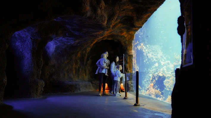 Product afbeelding: Burgers' Zoo