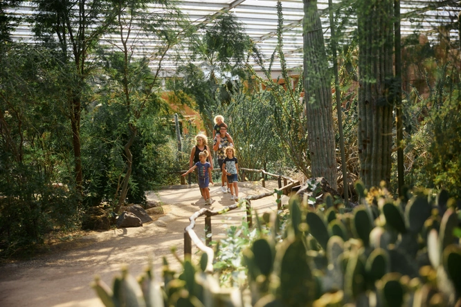 Product afbeelding: Burgers' Zoo