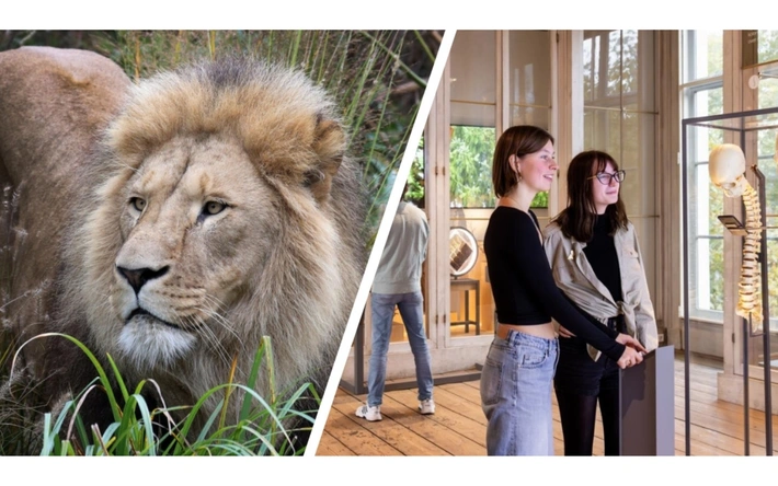 Product afbeelding: Combiticket ARTIS-Park & ARTIS-Groote Museum