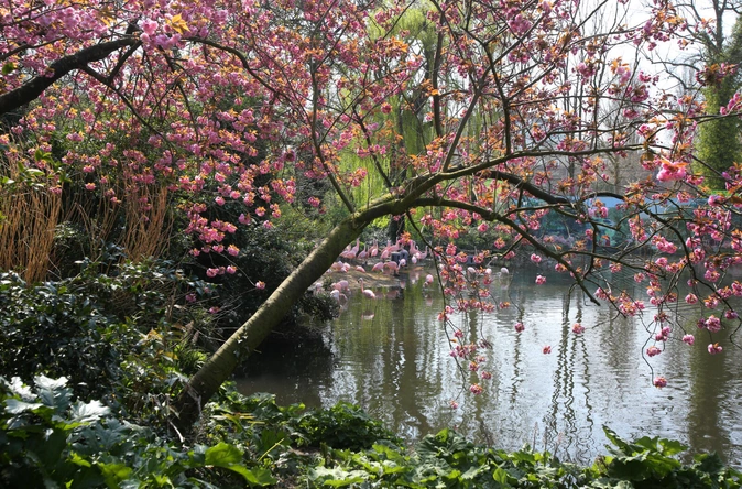 Product afbeelding: ARTIS-Park tickets met korting