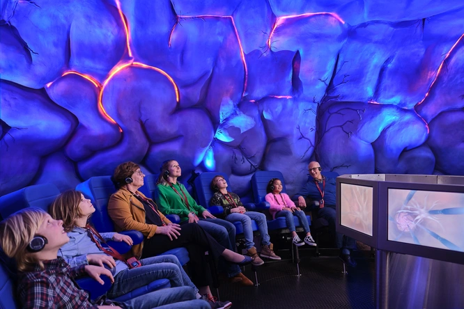 Product afbeelding: CORPUS Reis door de Mens