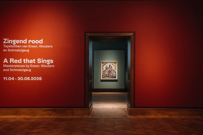 Product afbeelding: Koninklijk Museum voor Schone Kunsten Antwerpen (KMSKA)