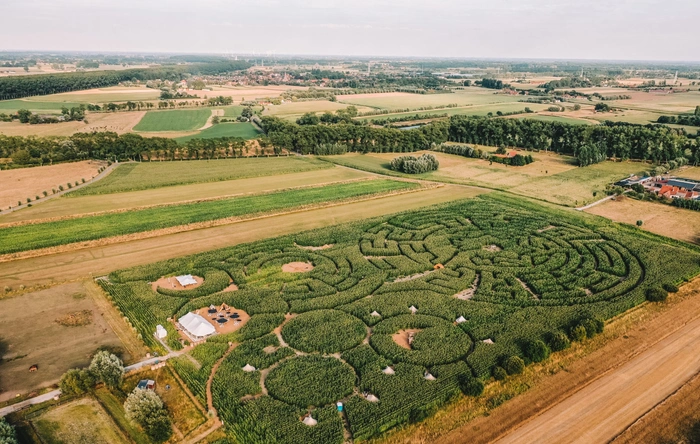 Product afbeelding: Maïsterplan - Maïsdoolhof