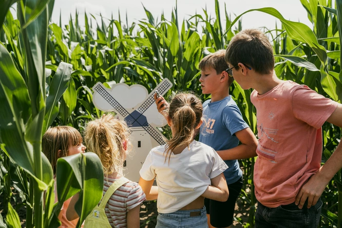 Product afbeelding: Maïsterplan - Maïsdoolhof