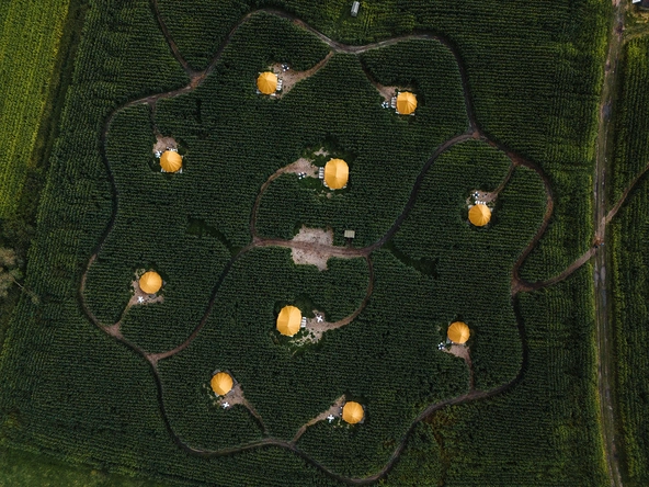 Product afbeelding: Maïsterplan - Overnachting in een glamping tent met ontbijt