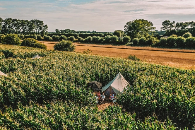 Product afbeelding: Maïsterplan - Overnachting in een glamping tent met ontbijt