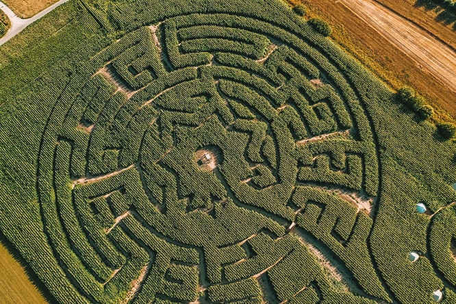 Product afbeelding: Maïsterplan - Overnachting in een glamping tent met ontbijt