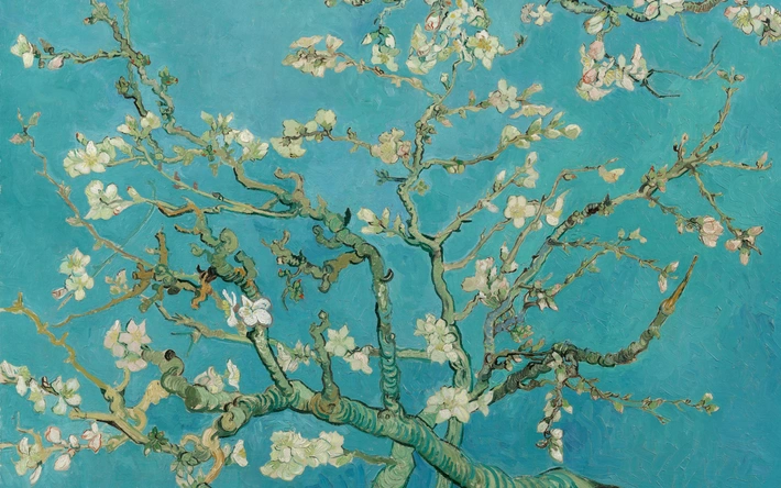 Product afbeelding: Summerschool Kunstgeschiedenis - Vrije Academie