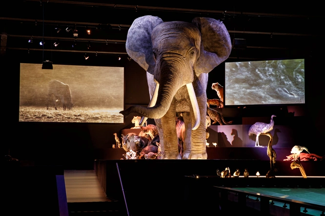 Product afbeelding: Naturalis + gratis toegang Rexperience