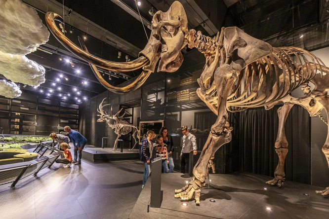 Product afbeelding: Naturalis + gratis toegang Rexperience