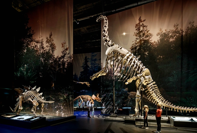 Product afbeelding: Naturalis + gratis toegang Rexperience