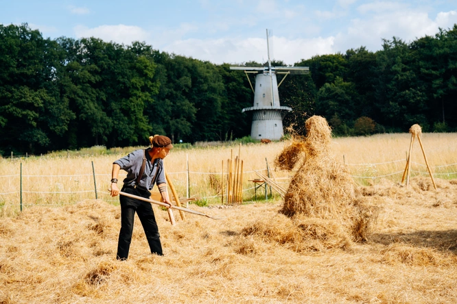 Product afbeelding: Nederlands Openluchtmuseum