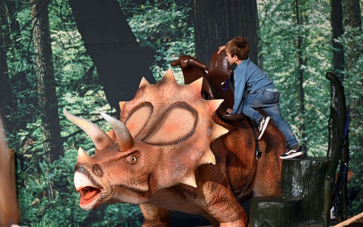 Product afbeelding: Dino World Goes