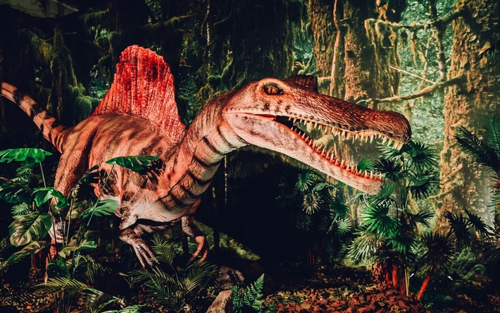 Product afbeelding: Dino World Goes