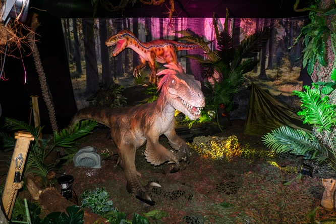 Product afbeelding: World of Dinos Zandvoort
