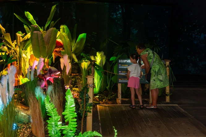 Product afbeelding: World of Dinos Zandvoort