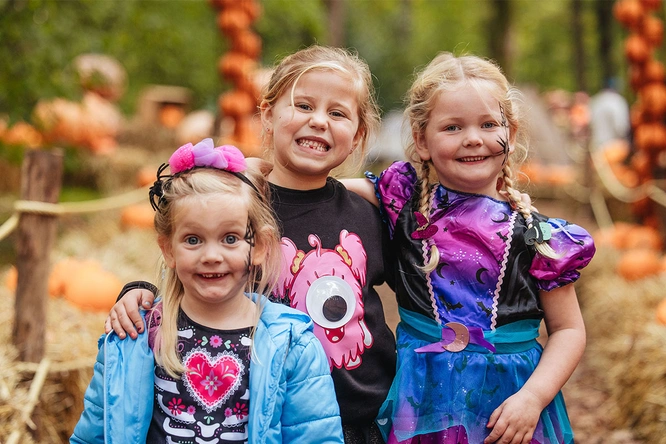Product afbeelding: Kinderpretpark Julianatoren Halloween - 2026