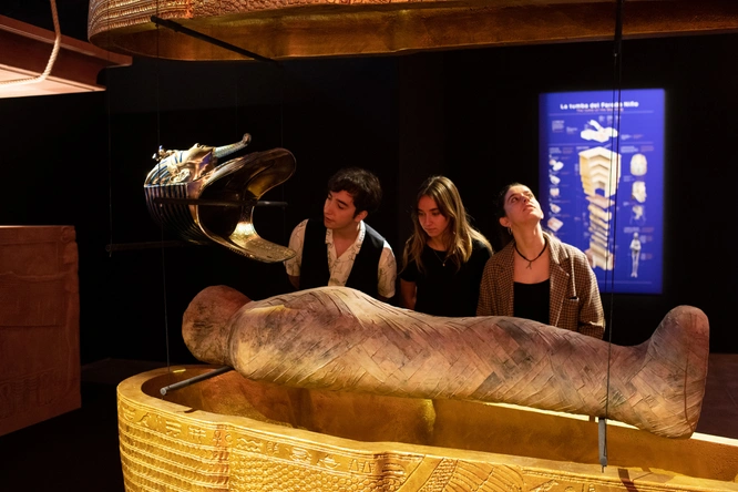 Product afbeelding: Tutankhamun — The Immersive Exhibition  