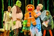 Product afbeelding thumbnail: Shrek De Musical incl. Shrek oortjes