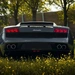 Product afbeelding thumbnail: Lamborghini rijden