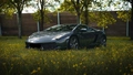 Product afbeelding thumbnail: Lamborghini rijden