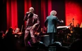 Product afbeelding thumbnail: Disney in Concert | Nu met 5 euro korting