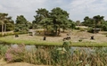Product afbeelding thumbnail: Safaripark Beekse Bergen