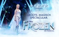 Product afbeelding thumbnail: Musical Disney FROZEN incl gratis parkeerkaart twv 25,20