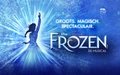 Product afbeelding thumbnail: Musical Disney FROZEN incl gratis parkeerkaart twv 25,20