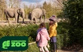 Product afbeelding thumbnail: Eindhoven ZOO