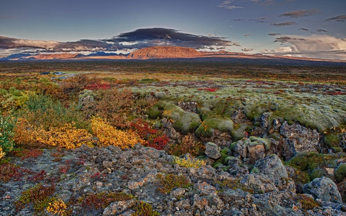 Product afbeelding: Noorderlicht reis IJsland - Gallia - 5 Dagen