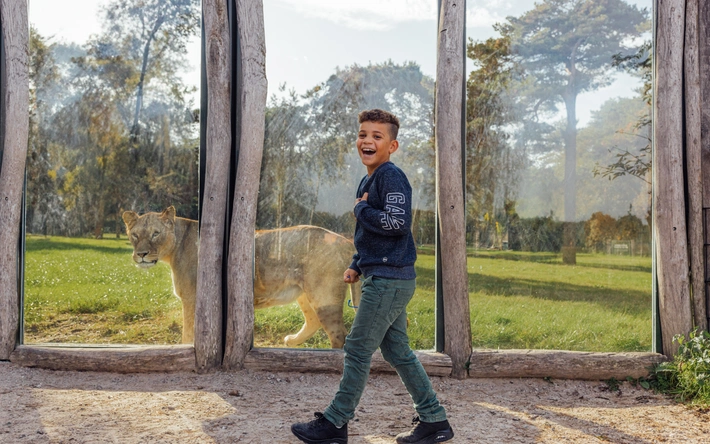 Product afbeelding: Safaripark Beekse Bergen