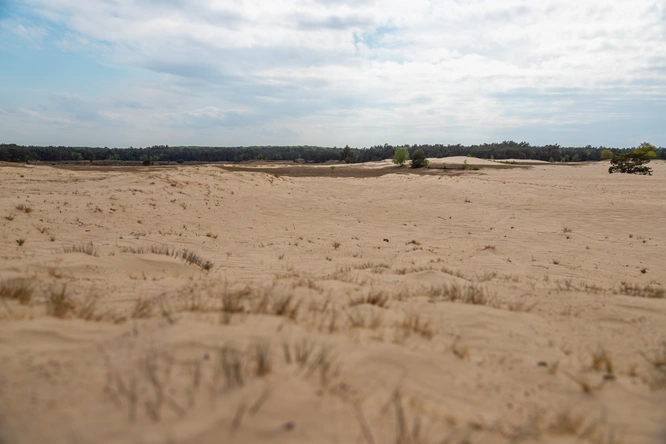 Product afbeelding: EuroParcs De Wije Werelt (Veluwe)