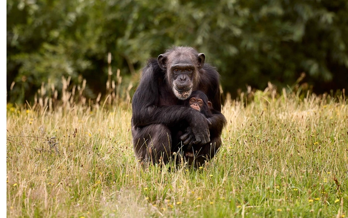 Product afbeelding: Eindhoven ZOO