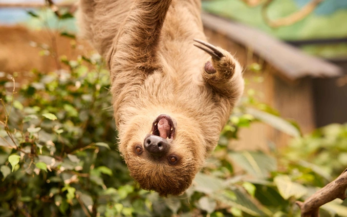 Product afbeelding: ZooParc Overloon