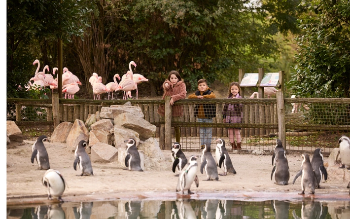 Product afbeelding: Eindhoven ZOO