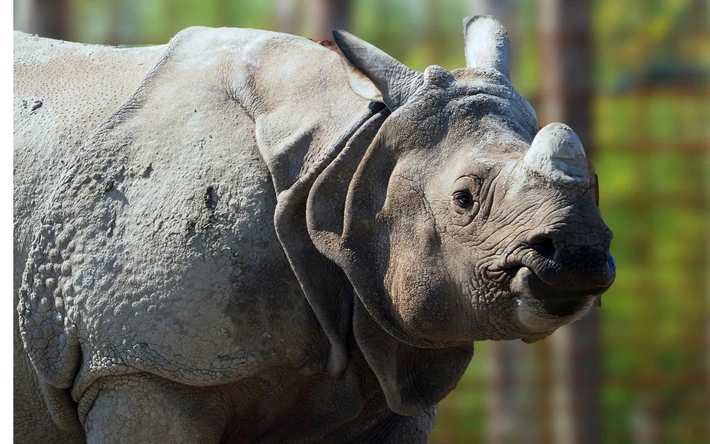 Product afbeelding: Eindhoven ZOO