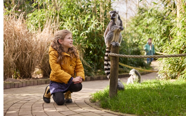 Product afbeelding: Eindhoven ZOO