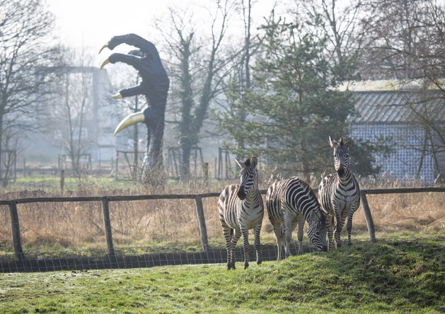 Product afbeelding: Duoticket LABIOMISTA